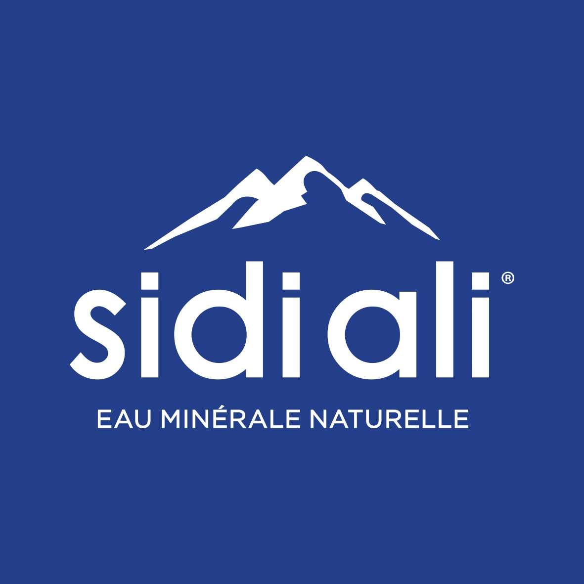 Sidi Ali